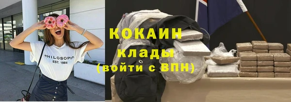 твердый Заводоуковск