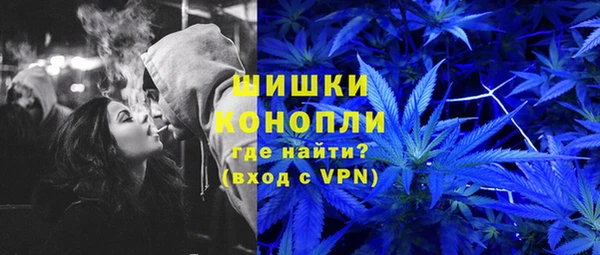 МДПВ Анива