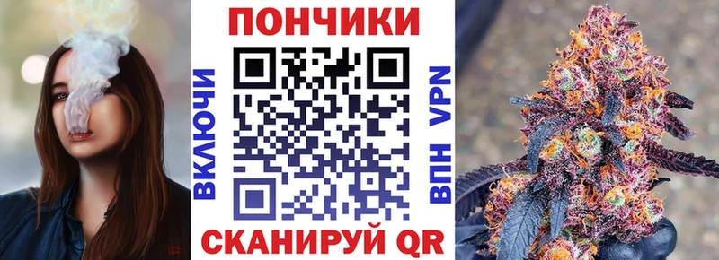 Шишки марихуана индика  где можно купить наркотик  Заринск 